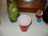 P1010005_800x600.JPG