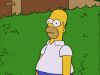 TheSimpsons-Homer-Hedge.gif