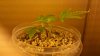 2012-02-19_08-43-18_48.jpg