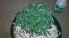 2012-03-15_21-38-18_62.jpg