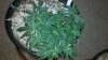 2012-03-15_21-38-06_664.jpg