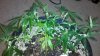 2012-03-15_21-37-57_803.jpg