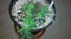 2012-03-15_21-38-44_969.jpg