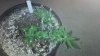 2012-03-15_21-38-35_943.jpg