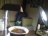iphonepic 013.jpg