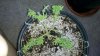 2012-03-23_17-39-24_468.jpg