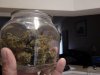 DSC00134.jpg