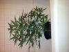 20120424_114514.jpg