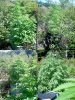 July22,2007 250 2.jpg