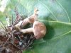 DSC00076.jpg