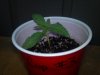 2012-04-24_18-58-40_545.jpg