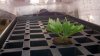 2012-04-30_17-29-51_511.jpg
