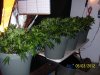 100_3257.jpg