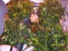100_3264.jpg