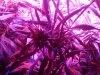 2012-05-05 19.41.05.jpg