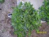 100_3289.jpg