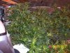 100_3319.jpg