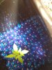 120513_005.jpg