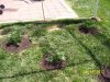 100_3086.jpg