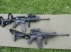 Colt AR15 Tacticals.jpg