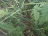 IMG_20120521_065848.jpg
