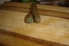 Cut-end-hand-rolled-blunt.jpg