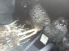 IMG_20120526_215436.jpg