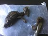 IMG_20120529_102352.jpg