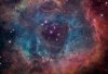 rosette nebula.jpg