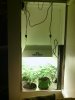 IMG_20120611_215442.jpg