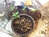 2012-06-02 01.54.31.jpg