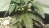 IMAG0346.jpg