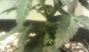 IMAG0347.jpg