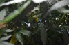 DSC_0762.jpg
