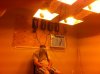 room.jpg