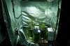Grow 2 - Skunky Munkey-2.jpg