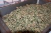 Pineapple Kush Bubble Hash-2.jpg