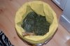 Pineapple Kush Bubble Hash-7.jpg