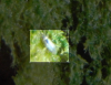 Picture 147.png