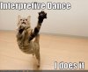 funny-pictures-interpretive-dance-cat.jpg