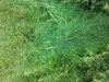 2012-07-04 16.26.06.jpg