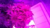 IMG_00000065.jpg
