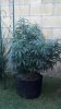 2012-07-31_19-02-56_828.jpg