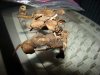 DSC01607.JPG