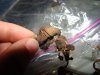 DSC01611.JPG