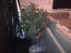 IMG-20120804-00070.jpg