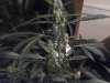 IMG-20120804-00072.jpg