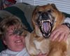 Dog-with-obnoxious-laugh-632x510.jpg