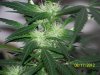 Party Grow 8 026.jpg