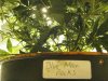 Grow Room 015.jpg